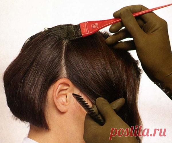 Как покрасить волосы хной с кофе в черный, шоколадный, каштановый цвет правильно: видео-инструкция по покраске светлых локонов своими руками в домашних условиях, фото и цена