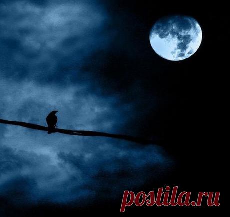 (88) Одноклассники