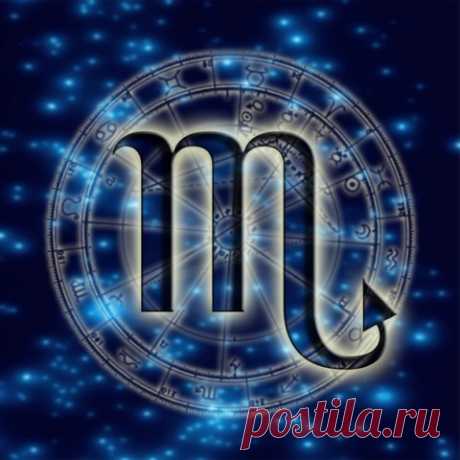 Мужчина в браке: выбираем мужа по Знаку Зодиака