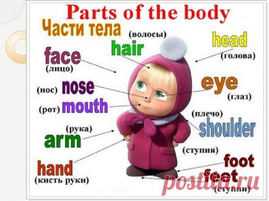 УЧИМ АНГЛИЙСКИЙ 
300 первых слов. 24 смысловые группы. 
please (плиз) - пожалуйста, прошу. sorry (сори) - извините 
you are welcome (ю а вэлкам) - пожалуйста, не за что 
hello (хэллоу) - здравствуйте. hi (хай) - привет 
goodbye (гудбай) - до свидания, пока. see you (cи ю) - увидимся 
yes (да) - да. no (ноу) - нет. not (нот) - не 
this (зис) - этот. that (зэт) – тот 
name (нэйм) - имя. address (эдрэс) - адрес 
phone number (фоун намбэр) - номер. age (эйдж) - возраст 
married (мэррид) - женатый