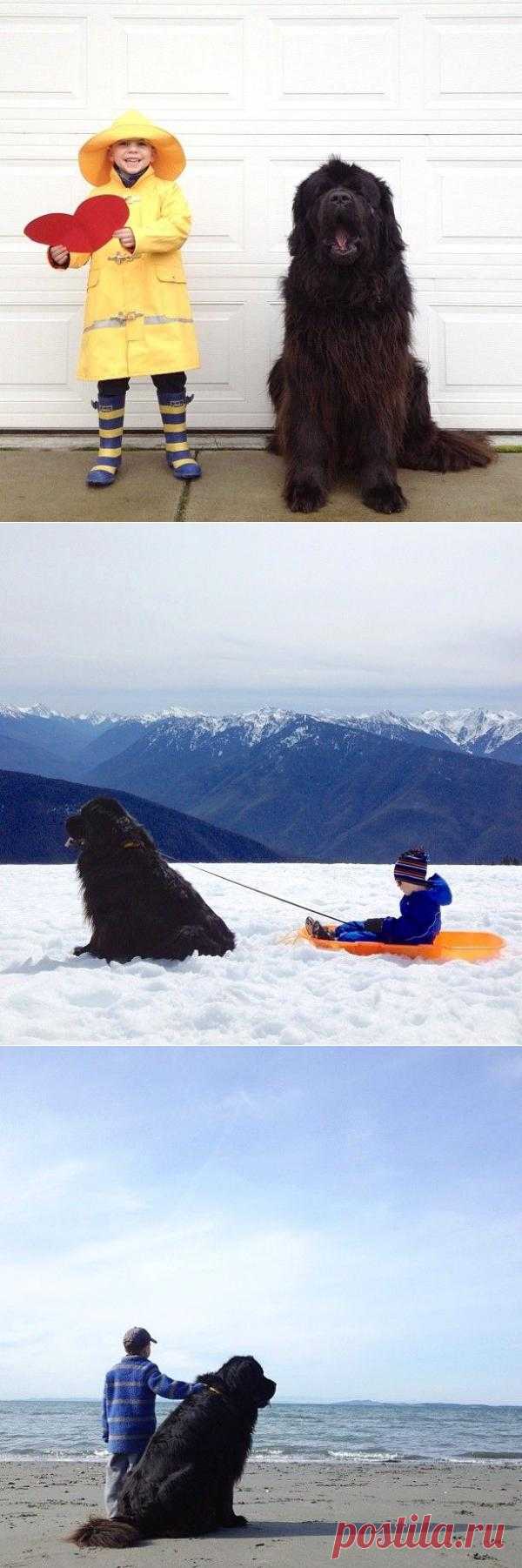 Я и мой лучший, самый верный друг