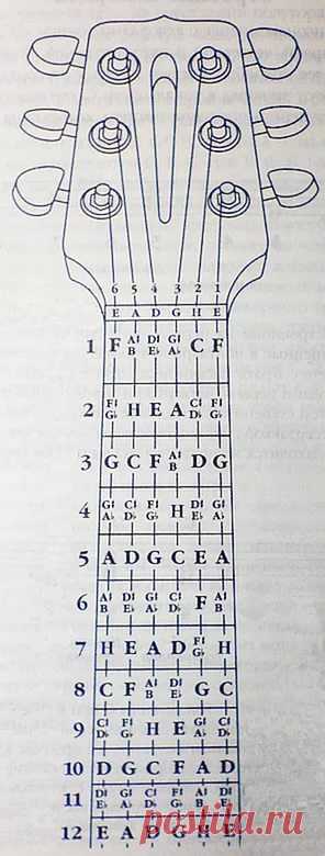 гитара ноты для начинающих