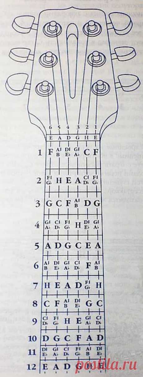 гитара ноты для начинающих