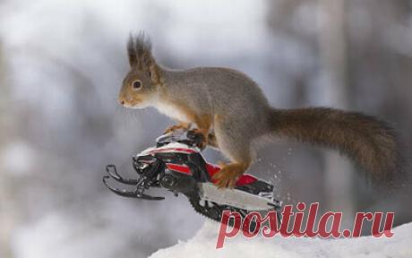 45 смешных загадок с подвохом для детей - Игры, развитие и обучение детей от 7 до 10 лет