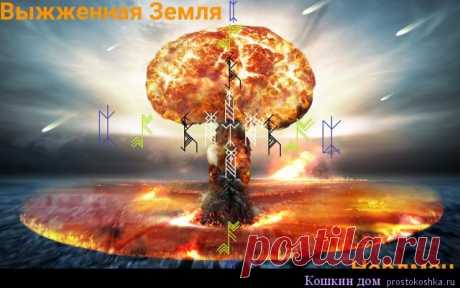 Став Выжженная земля | Кошкин дом