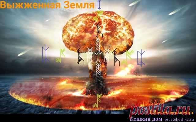 Став Выжженная земля | Кошкин дом