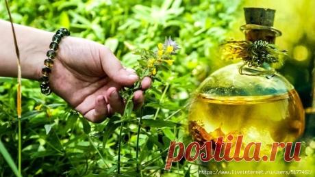 Древний рецепт для продления жизни от грузинских монахов!