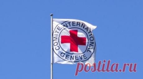 МККК посетил захваченных в Курской области военнопленных. Международный Комитет Красного Креста (МККК) посетил военнопленных, захваченных в Курской области, сообщила представитель организации Клер Каплун. Читать далее