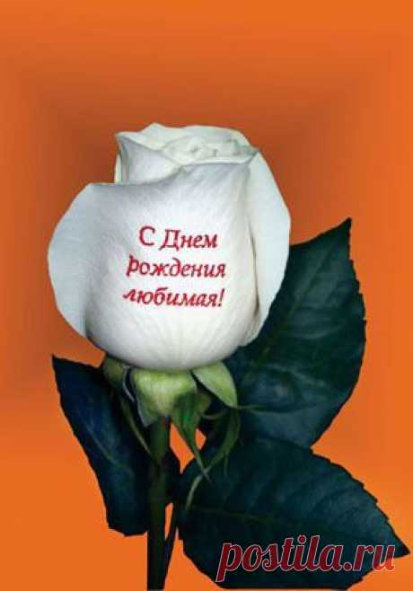 Мусон Бусон - Турция, 62 года на Мой Мир@Mail.ru