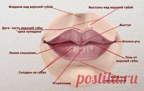 Рисуем губы.