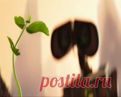 ALyosha - Sweet people - Детские видеоклипы Елены Молчановой