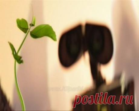 ALyosha - Sweet people - Детские видеоклипы Елены Молчановой