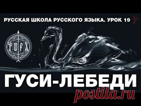 Русская Школа Русского Языка. Гуси - Лебеди. Урок 19. Виталий Сундаков