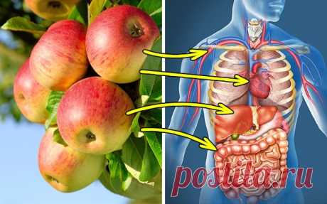 Продукты для очищения организма