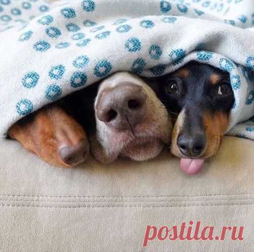 Beautiful2me — lunamiangel: via Imgfave for iPhone