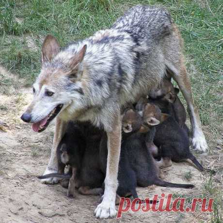 (5) Facebook
