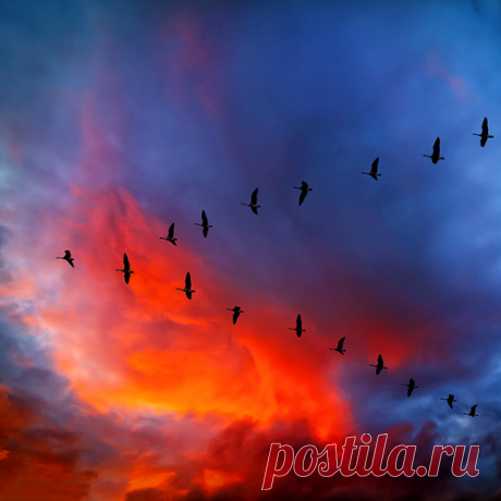красота