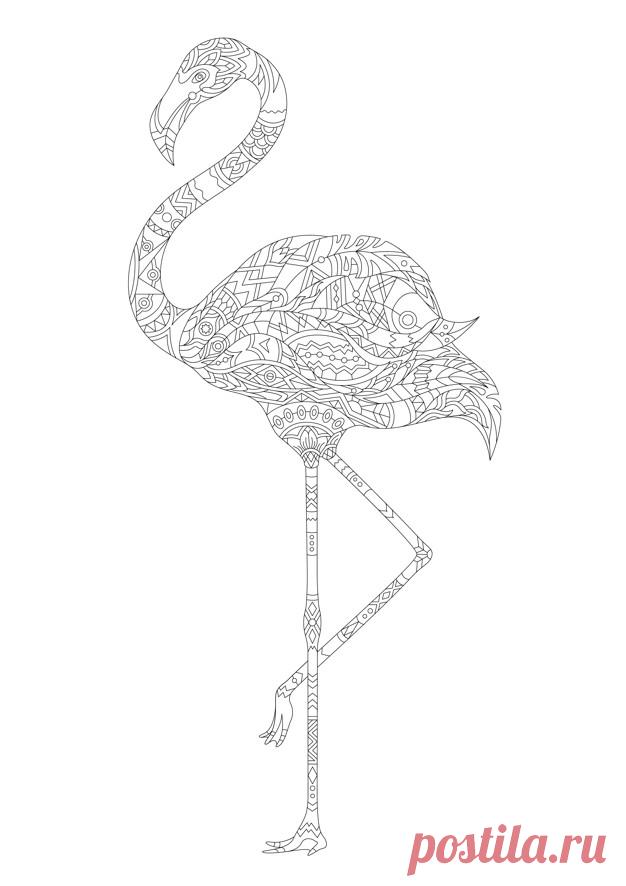 взрослый раскраска орнамент цветной окрас фламинго Более миллиона свободных векторов, PSD, фотографии и бесплатные иконки. Эксклюзивные халявы и все графические ресурсы, которые необходимые для ваших проектов