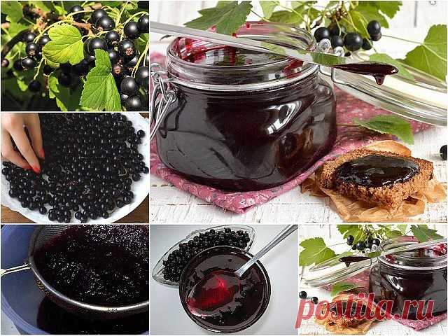 Желе на зиму из черной смородины 
Желе получается очень вкусным и хорошо хранится.
Аналогичным способом можно приготовить желе из красной смородины. 
Ингредиенты: 
- 1 кг черной смородины,
- 1,5 кг сахара,
- 200 мл воды. 
Приготовление: 
1. Ягоды перебрать, удалить веточки и листья. 
2. Всыпать чистые ягоды в емкость для варки. Влить 200 мл воды. Довести до кипения и варить в течении нескольких минут. 
3. Протереть ягоды через сито. 
4. Перемешать протертые ягоды с сахаром...
