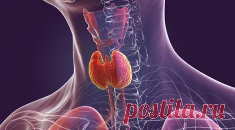 Психиатр: подавленная злость влияет на состояние щитовидной железы. Врач-психиатр и психотерапевт, сотрудник ФГБУ «НМИЦ эндокринологии» Минздрава России Татьяна Зеленкова-Захарчук рассказала, что подавленная злость влияет на здоровье щитовидной железы. Читать далее