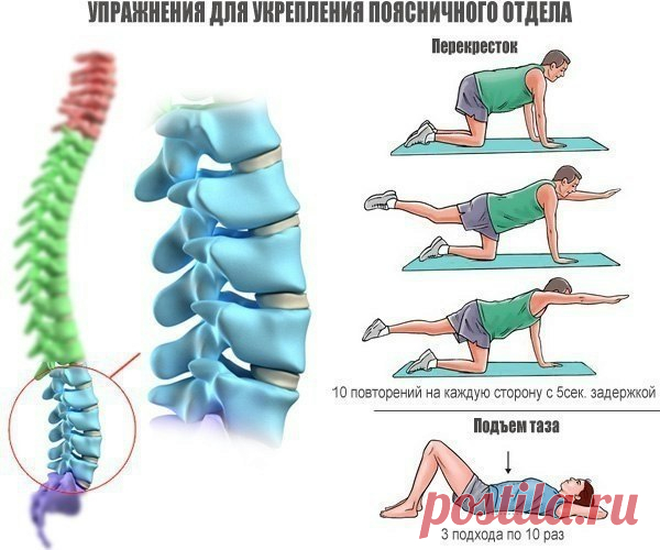 Простые упражнения для укрепления позвоночника.