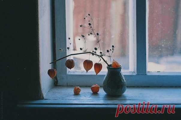 Мне видится в этом пронзительном молчании природы — самая чистейшая красота.

Виктория Дорн.
Предзимье, ноябрь.