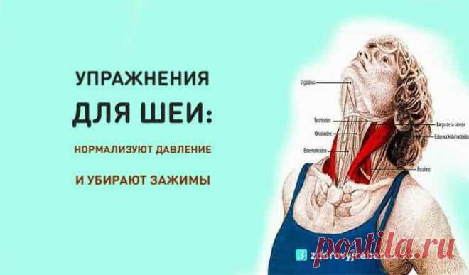 Упражнения для шеи: Нормализуют давление и убирают зажимы Упражнения для шеи: Нормализуют давление и убирают зажимы.Следующие упражнения предназначены для расслабления напряжённых