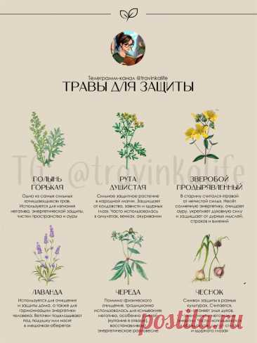Травы для защиты