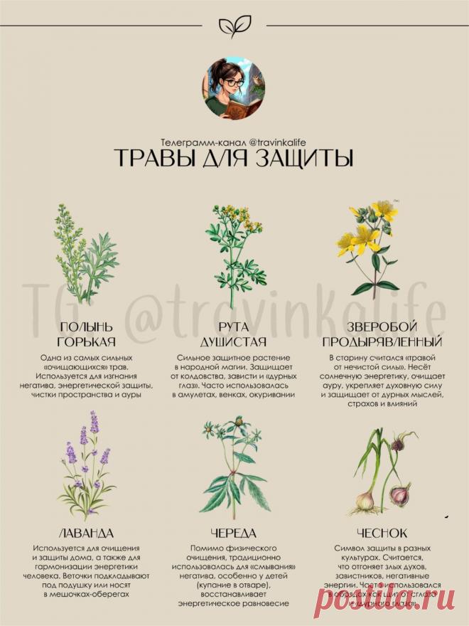 Травы для защиты