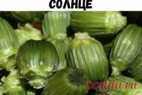 Замороженные лимоны - средство против рака. Вы об этом не знали?
