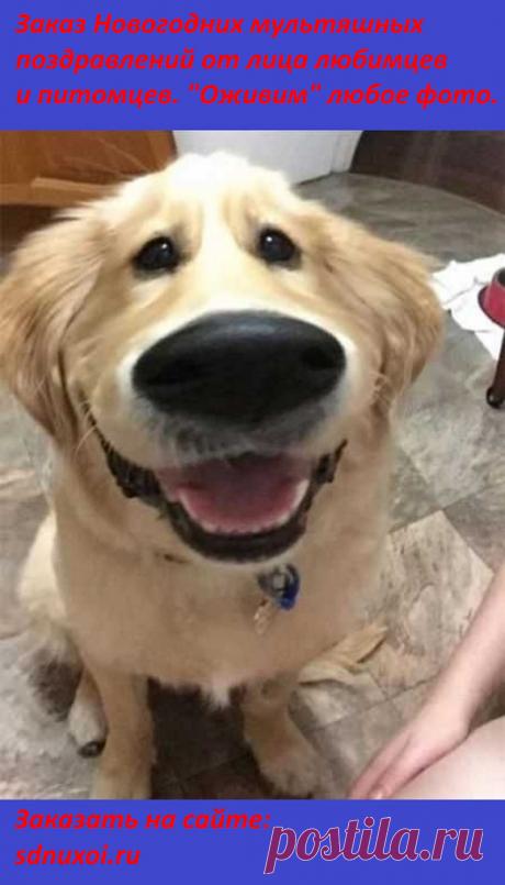 Галерея сайта "С Днюхой" - Google+