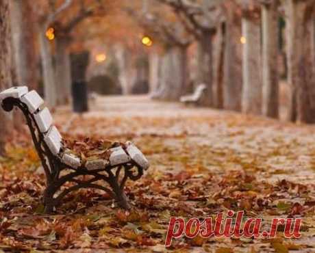 Лариса Рубальская. Свет в твоем окне