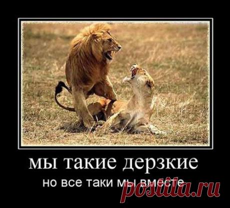 вячеслав: Нет ничего страшнее, чем человек без души. Душу протезом не заменишь.