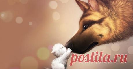 Отношения и совместимость в восточном гороскопе любви Вселенная наделила каждого из нас определенными качествами характера. С помощью этого восточного гороскопа узнаем секреты чувств и отношений каждого знака и откроем для себя волнующие вопросы любви.Ро...