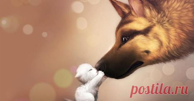 Отношения и совместимость в восточном гороскопе любви Вселенная наделила каждого из нас определенными качествами характера. С помощью этого восточного гороскопа узнаем секреты чувств и отношений каждого знака и откроем для себя волнующие вопросы любви.Ро...