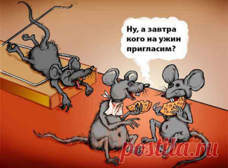Кот в мешке или подсунуть свинью. Чего больше?