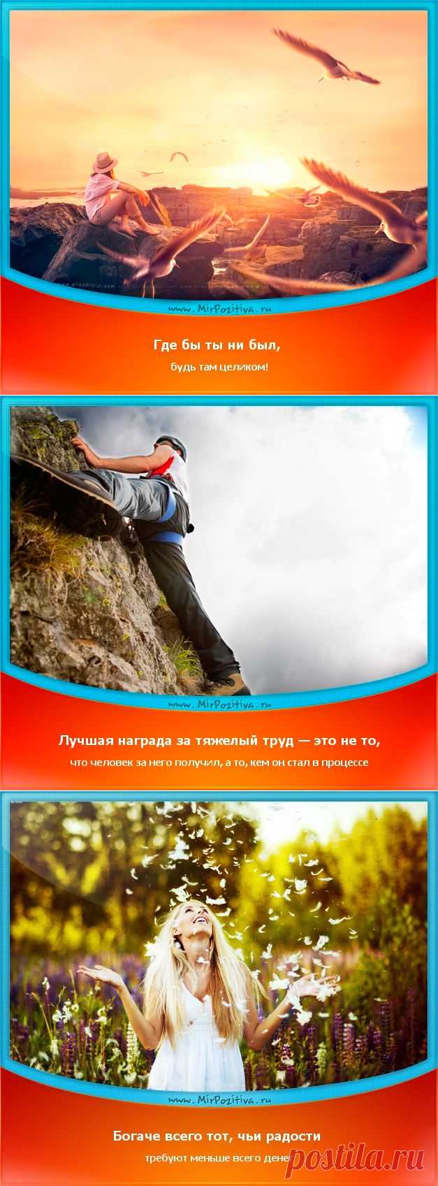 Позитивчики Недели (смотреть фото)