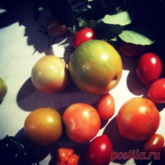 Бабушкины советы — Народные приметы