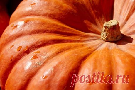 #Полезные_продукты желтого и оранжевого цвета полезны, в первую очередь, для кожи и глаз