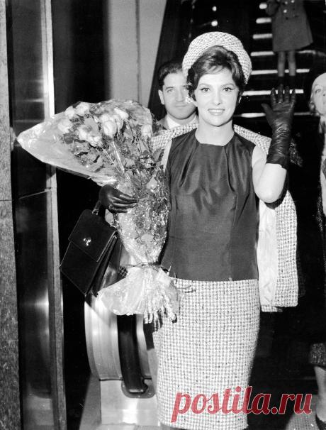 Gina Lollobrigida