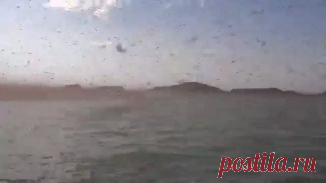 Красносмородиновый ликер.