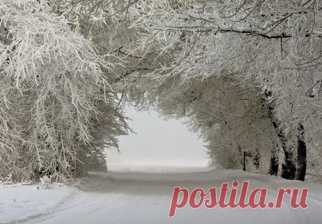 Потрясающие фотографии зимней природы (40 фото)