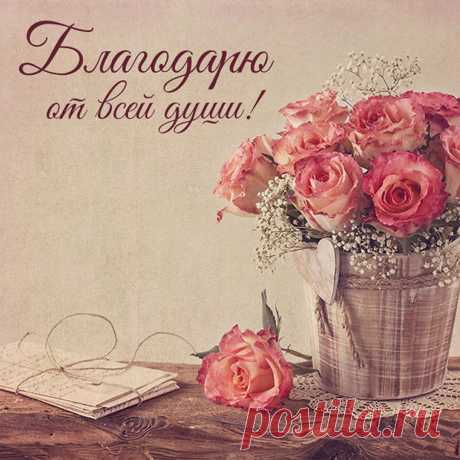Благодарю от всей души!