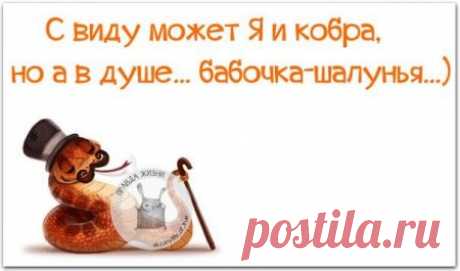 Прикольные «правдивости»;)) Пост метких фраз