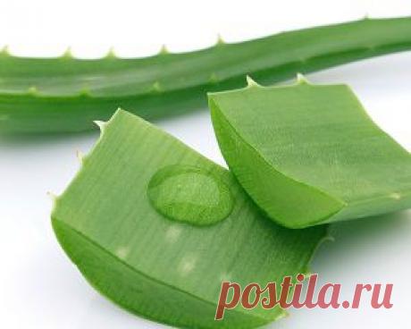 Лечение жирных волос в домашних условиях