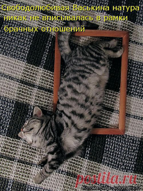 kotomatritsa_O.jpg (Изображение JPEG, 500 × 667 пикселов)