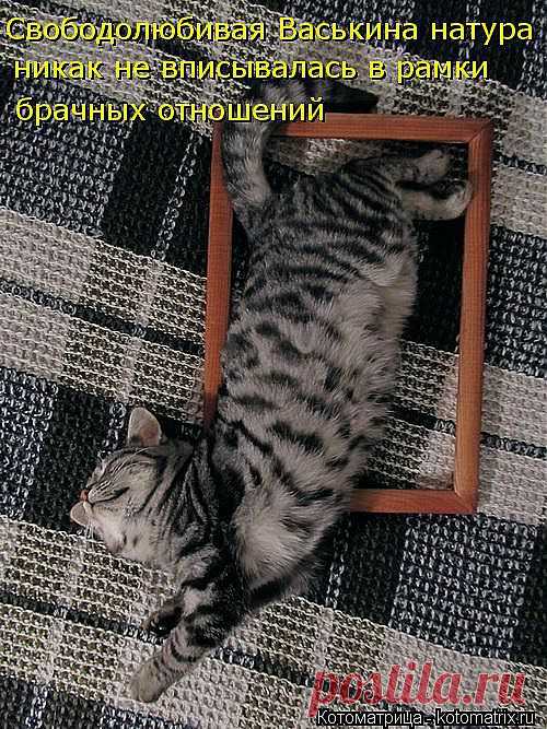 kotomatritsa_O.jpg (Изображение JPEG, 500 × 667 пикселов)