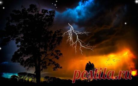 Я слышала, как &quot;кричит&quot; обида, хотя слова полны уверенности в завтрашнем дне. Слушая все это, еще раз убеждалась в том, что большая часть нас - ожидания других людей. Мы можем спать или играть, петь или заниматься любовью, когда несчастны. Но, уверена, большинство молчат, когда они счастливы! Всё дело в тишине - гармонии.