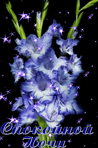 Спокойной  ночи