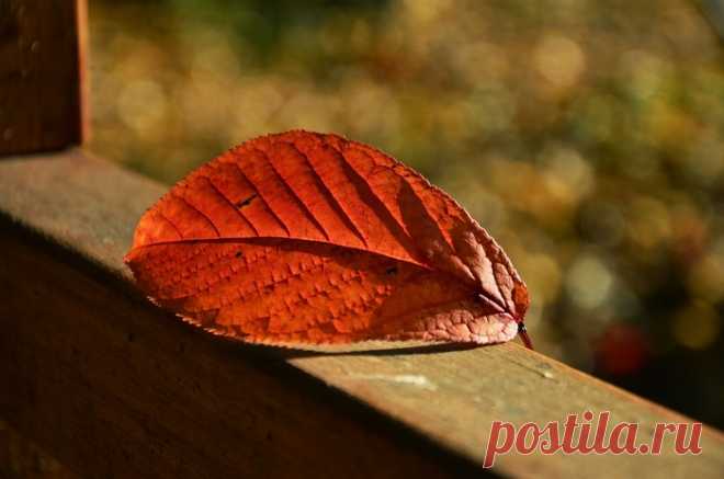 Звонок Ангелу